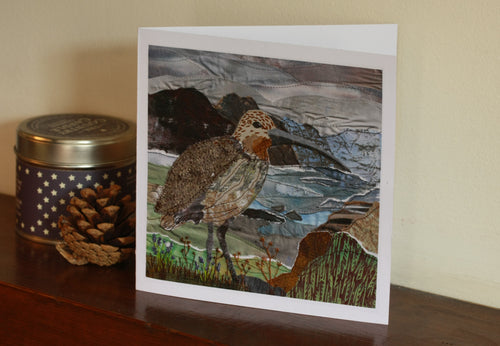 Curlew: 4 greetings cards