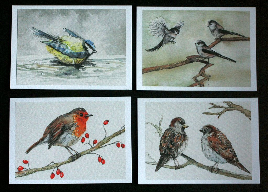 Secret life of garden birds: 4 greetings cards
