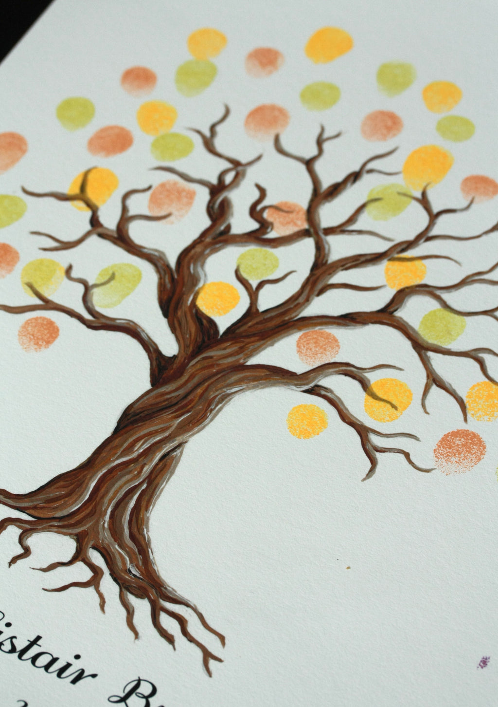 Twisted willow guest book tree
